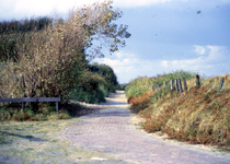 51343 Paadje op de Nolledijk achter het Nollestrand.