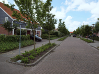 52028 De Aldegondestraat in Tuindorp West-Souburg. De woningen zijn gebouwd in 1995-1996. Gezien vanaf de hoek Ceresstraat