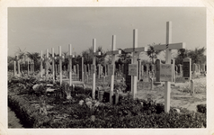 56720 Oorlogsgraven op de Noorderbegraafplaats van de slachtoffers van Hr.Ms. 'Bulgia', gezonken in de Binnenhaven na ...