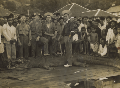 57056 Leden van de Koninklijke Marine tijdens het vangen van een krokodil in Nederlands Indië. De eerste man (links) ...