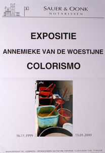 2333 Expositie Annemieke van de Woestijne : Colorismo