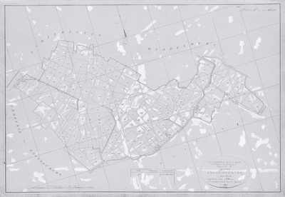 3360 Kaart van de gemeente Ritthem Nieuwerve & Welzinge sectie F genaamd Grote Moering