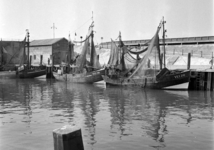 10953 De Nederlandse visserschepen VLI 7, VLI 12 en VLI 20 in de Voorhaven, Vlissingen. VLI 7: Joos Schroevers ('Joos ...