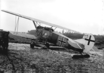 10815 Vliegtuig Eerste Wereldoorlog, Schoondijke?