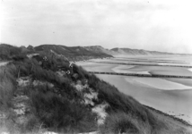 9018 De zeekant van de duinen bij Dishoek