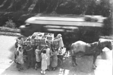 270 Groenteboer met paard en wagen, Nieuwe Vlissingse Weg