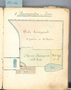 47-3 Perceel 2. Boomgaard en tuin (oude en nieuwe boomgaard, het hof, tuintje achter de keet, wagenhuisje en keet)