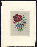8206 De voorstelling op dit borduurpatroon bestaat uit een roserode anjer en anjerknop en drie blauwgeelrose viooltjes, ...