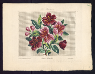 8162 De voorstelling op dit borduurpatroon bestaat uit een boeket met roserode bloemen en knoppen, 15 december 1840