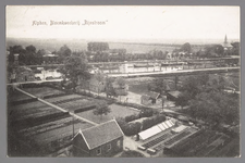 0205 Alphen, Bloemkweekerij Rijnstroom , 1900-1910