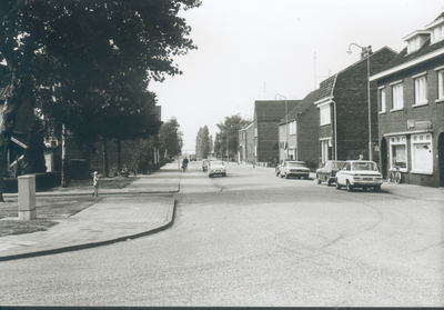 407_0036 De Oude Heiweg vanuit de Heistraat