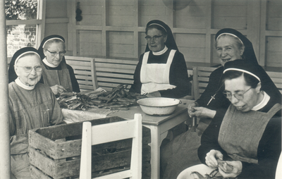 407_0144 Vijf eerwaarde Zusters van het kostbaar bloed tijdens het schoonmaken van erwten.