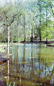 EHC-078-02 Slingervijver tegenover roeivijver in het Stadspark van Sittard