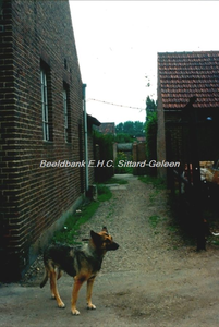 EHC-117-28 Renovatie Witte Huizen aan de Sint Josephstraat e.o. te Stadbroek