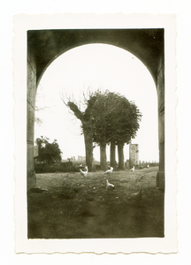 525_080 Toegangsweg en omgeving gezien van onder de toegangspoort van Hoeve Casino (Bergerhof) in het huidige Stadspark