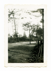 525_097 Tot nog toe onbekende straat met bomen
