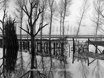 ehc_gp_050 Bij het hekje