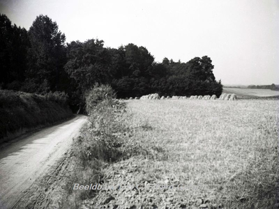 ehc_gp_137 Holle veldweg met bebossing en akkers met korenschoven tijdens de graanoogst in het Limburgse landschap
