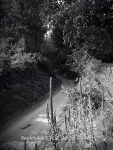 ehc_gp_139 Holle veldweg tussen de bebossing in het Limburgse landschap