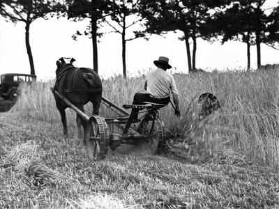 ehc_gp_201 Boer met paard en zwadmaaier tijdens het oogsten van het graan in het Limburgse landschap