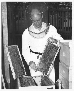 194179 Broeder Bernard tijdens het imken van zijn bijen (Aruba)