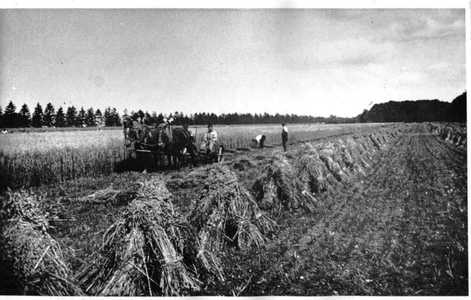 220173 Oogsten van tarwe voor de boerderij van Huize Padua, Boekel