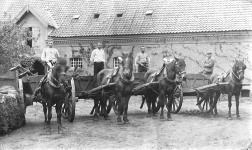 220176 Paarden met karren voor Huize Padua, Boekel
