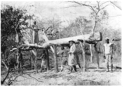140671 Broeder Antoine de Leyer bij het zagen van planken te Chala Sumbawanga in Tanzania