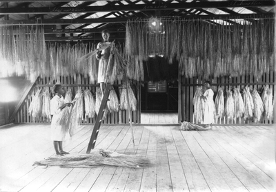 186598 Opslag van het bereidde stro in de vlechtschool te Paramaribo (Suriname)
