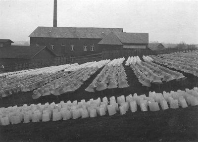 186614 Globale kijk panamahoedenfabriek Saralb, Lotharingen