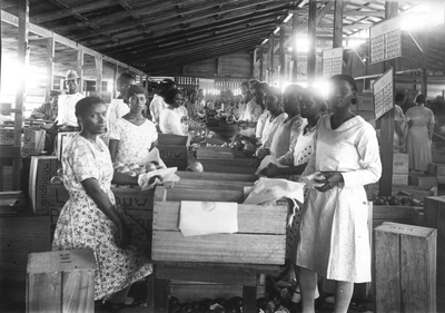 186616 De vlechtsters helpen bij het inpakken van sinaasappels in het landbouwproefstation (Suriname)
