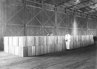186618 De sinaasappels van het landbouwproefstation zijn door de inzet van de hoedenvlechtsters uit Paramaribo gereed ...