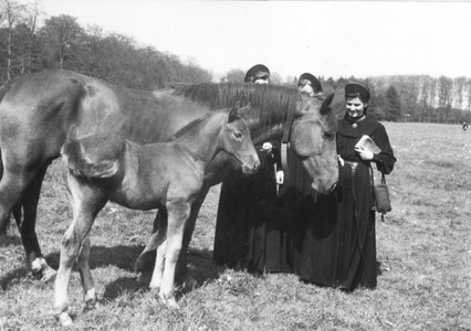 102049 Zusters in de paardenwei