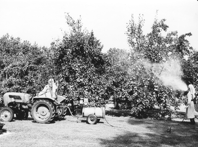 200024 Zusters gaan de strijd aan met ongedierte in de tuin van de priorij te Heesch