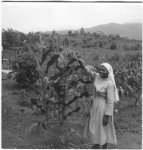 214150 Zuster Judith bij de eerste mais die geplant is in de kloostertuin te Bambui (Kameroen)