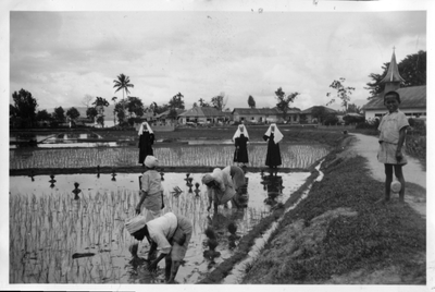 250354 Zusters staan bij de rijstvelden nabij Balige (Indonesië)