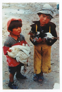 170368 Kinderen bieden kippen te koop aan (Nepal)