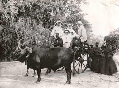 116078 Witte Zusters op een ossenkar bij een missiepost bij Tabore (Tanzania)