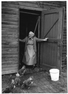 116237 Zuster Maria Sengers bij de kippen, te Sterksel
