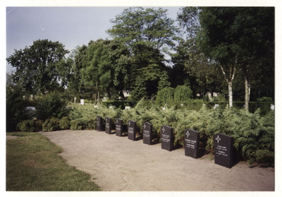116251 De graven van 16 Witte Zusters op begraafplaats 'Münsel' te Boxtel