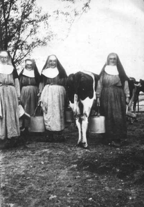 152313 Zusters bij het melken van de koeien op de boerderij te Bergen