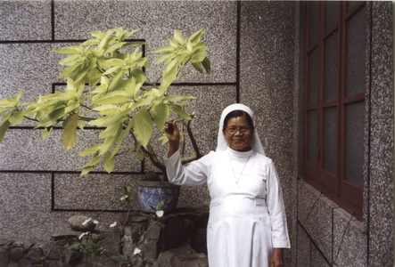 122303 Zuster Fransisca bij het zusterhuis in 'Pasar Merak' te Medan (Noord-Sumatra), Indonesië