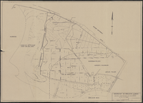 TA_ALG_207 Kadastrale overzichtskaart van Staatsgronden op West Rozenburg,