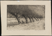 SPUIJBROEK_030 De polder van Nieuw-Helvoet met knotwilgen langs de sloot, ca. 1945