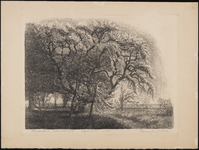SPUIJBROEK_031 Boom in de tuin van de pastorie van Nieuw-Helvoet, ca. 1935