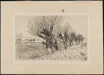 SPUIJBROEK_049 De polder van Nieuwenhoorn met knotwilgen langs de sloot, 1946