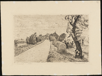 SPUIJBROEK_069 Wind op de Noorddijk in Nieuwenhoorn, ca. 1935