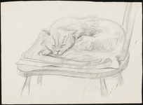 SPUIJBROEK_A_029 De op een stoel slapende angora poes Molly, ca. 1940