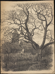 SPUIJBROEK_A_115 Kijkje op de kerk van Nieuw-Helvoet, met een grote boom op de voorgrond, ca. 1955