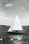 PB1239 Zeilboot op het Brielse Meer, 1968
